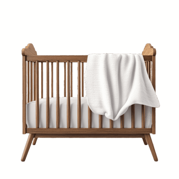 Aenean leo ligula bed